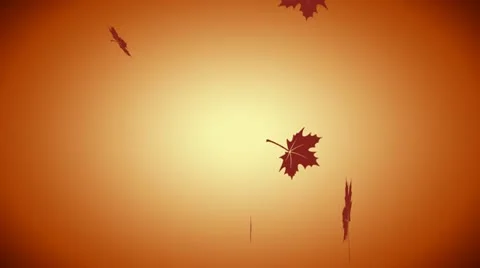 Autumn Stock Footage 21879836