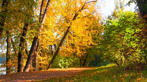 Autumn Stock Footage 29878733