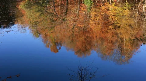 Autumn Video stock 32732597