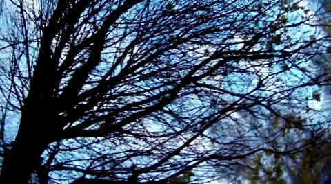 Autumn Stock Footage 33126746