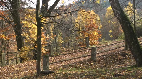 Autumn Stock Footage 34385015