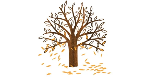 Autumn Stock Footage 35570545