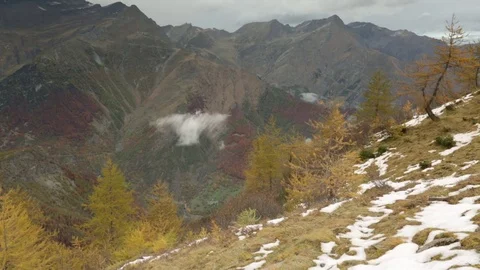 Autumn Stock Footage 77802143