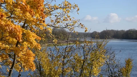 Autumn Stock Footage 82309911