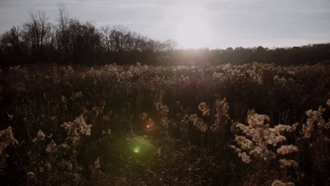 Autumn Stock Footage 90960567