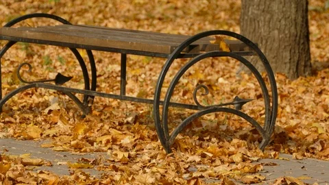 Autumn Stock Footage 97155792