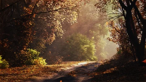 Autumn Vidéo 106010808