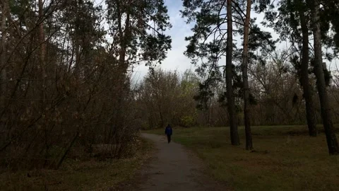 Autumn Video stock 141915183