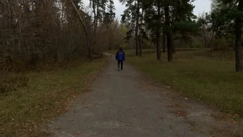 Autumn Video stock 141915185