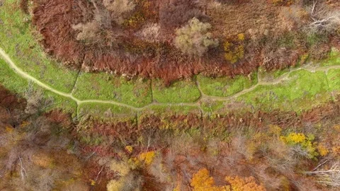 Autumn Stock Footage 169821165