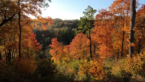 Autumn Stock Footage 208092136