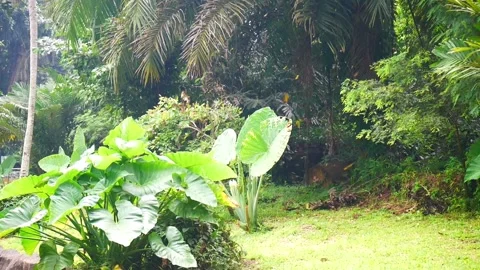 Autumn Stockbeeldmateriaal 227343202