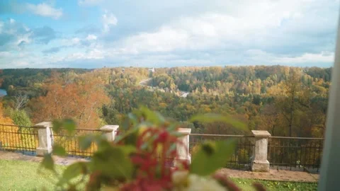 Autumn Video stock 230968931