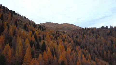 Autumn Video stock 245830368