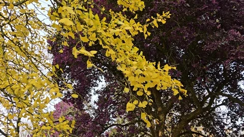 Autumn Stockbeeldmateriaal 302572170