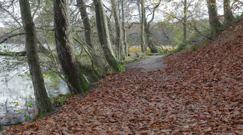 Autumn footpath Stock Footage 32246658