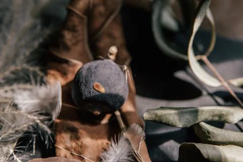 Autumn foraging collection with blue fig, crispy fall leaves Foto stock