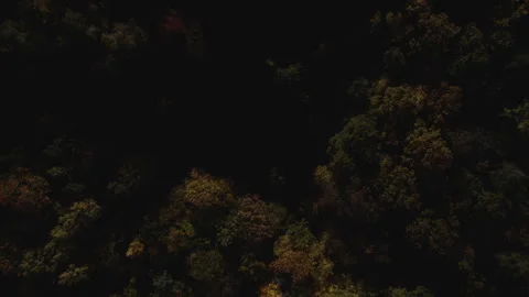 Autumn forest 02 - dark top down shot, rising above the forest 動画素材 287298601