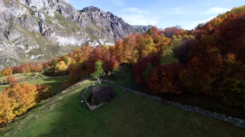 Autumn forest 05 Stock Footage 147201234