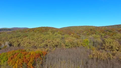 Autumn Forest, aerial view, fly over trees Video stock 254351747