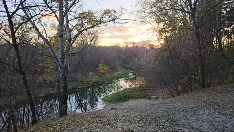 Autumn forest against the background of a river and the setting sun Stock Footage 298024186