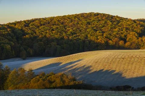 Autumn forest and fields with long morning shadows Stock Photos