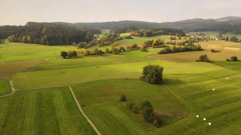 Autumn forest and fields top view Stock Footage 218594083