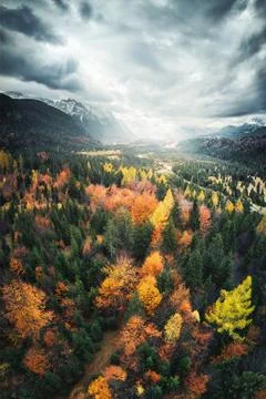 Autumn forest and mountains with dramatic sky Fotos de archivo