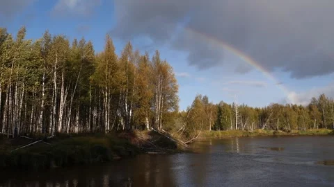 Autumn forest and rainbow Stock Footage 269364660