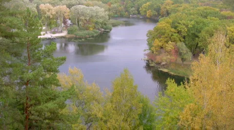 Autumn forest and river Stock-Footage 538064