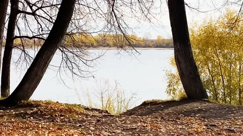 Autumn forest and river Stock Footage 162332552