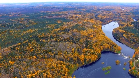 Autumn forest and river from a height. Aerial view Vídeos de archivo 73306517