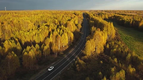 Autumn forest and a road with passing cars.Top view.Aerial photography.Golden au Stock Footage 163587953