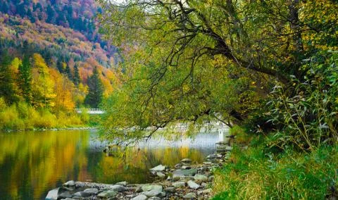 Autumn forest and sky and mountains and river Stock Photos