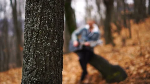 Autumn forest and tree in the foreground and blurred musician playing guitar at Stock Footage 145724537