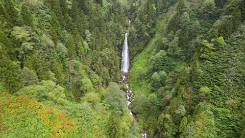 Autumn Forest And Waterfall Stock Footage 331233434