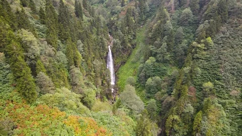 Autumn Forest And Waterfall Stock-Footage 332892172