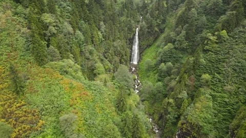 Autumn Forest And Waterfall Stock-Footage 333119997