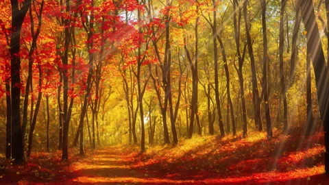The Autumn Forest, Anime seamless Background. Video stock 237808548