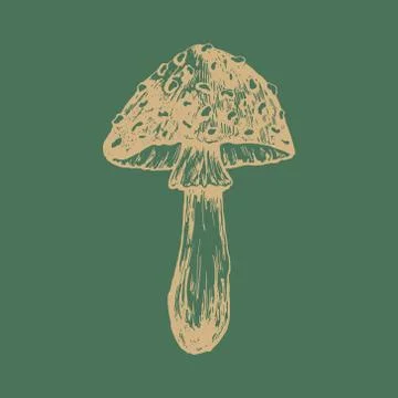 Autumn forest botanic elements Stock Illustration
