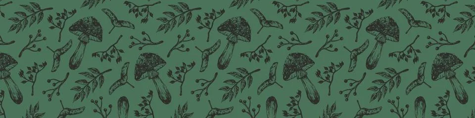 Autumn forest botanic elements Stock Illustration