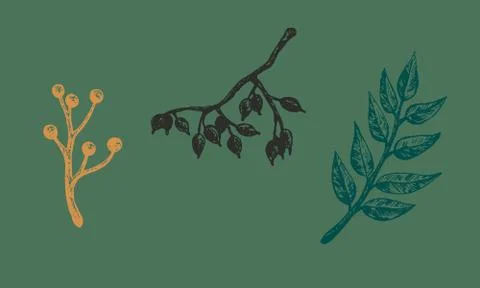 Autumn forest botanic elements Stock Illustration