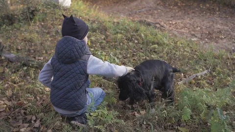 Autumn forest with a boy and his dog. black Spaniel Stock Footage 81208711