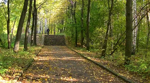 Autumn in the forest - The boy comes down the stairs in the park Stock Footage 67851542