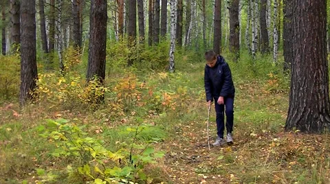 Autumn in the forest - Boy is looking for something in fallen leaves Stock Footage