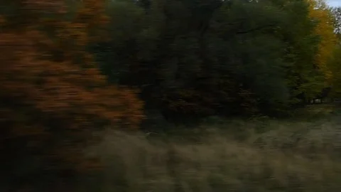 Autumn Forest From The Bus Window Stock Footage 116687075