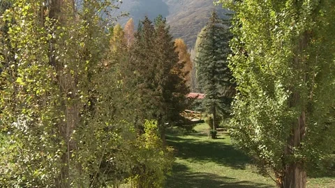 Autumn Forest Cabin View Video stock 306185660