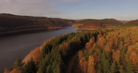 Autumn Forest Canopy Along Lake Shore, Treetop Drone Flight, Golden Hour Stock Footage 340361409