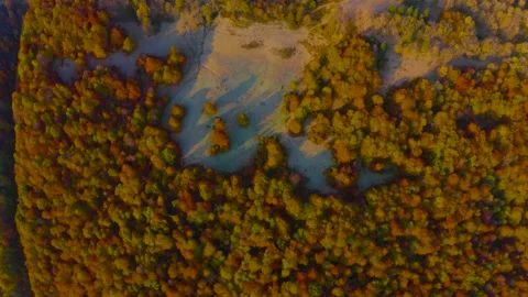 Autumn forest in the Carpathians, copter. Stock Footage 170759727