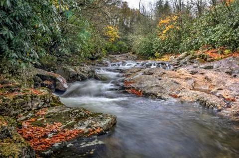 Autumn Forest Cascade Stock Photos